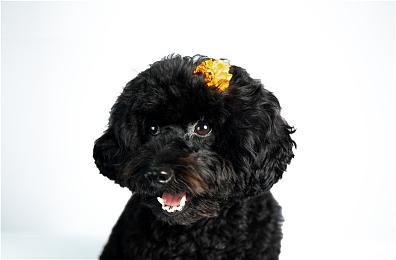 模拟新游《BANKWAVE: Neon Networth》发布试玩版